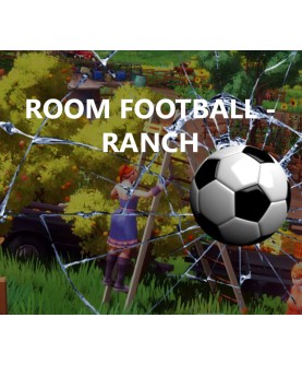 ROOM FOOTBALL: Ranch Steam Key GLOBAL